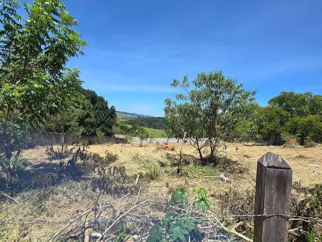 Terreno para Venda em Taubaté - 4