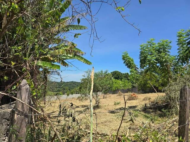 Terreno para Venda em Taubaté - 5