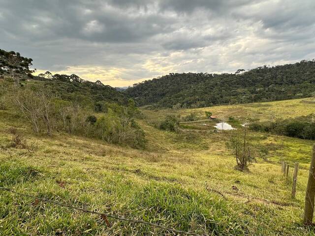 #56 - Terreno para Venda em Santo Antônio do Pinhal - SP