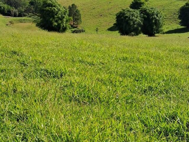 #20 - Terreno para Venda em Cunha - SP