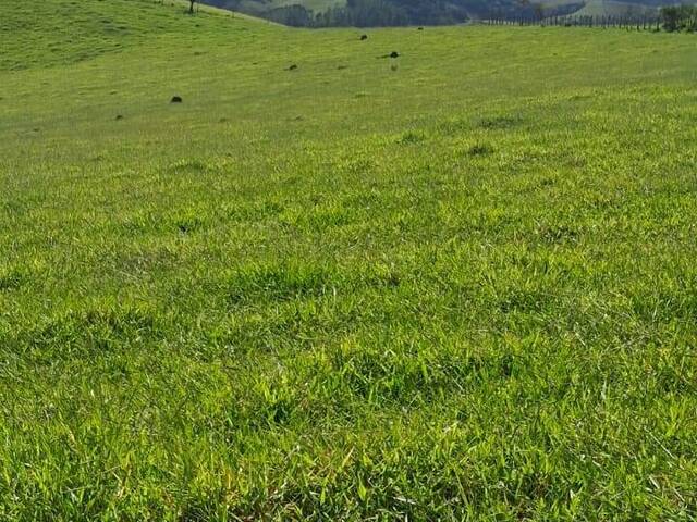 Terreno para Venda em Cunha - 4