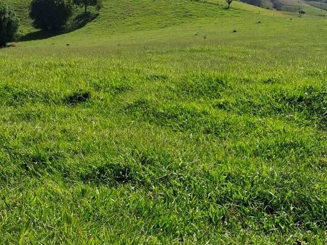 #20 - Terreno para Venda em Cunha - SP