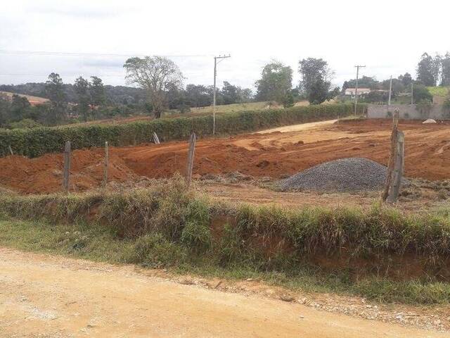 Terreno para Venda em Taubaté - 4
