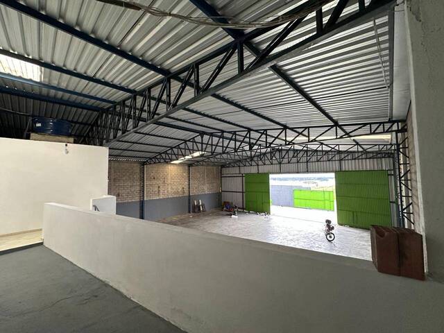 #250 - Galpão para Locação em Taubaté - SP